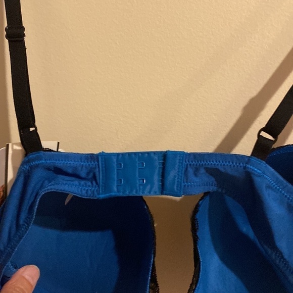 NWT Apartment 9 sapphire and black push up bra size 36B - Picture 5 of 5